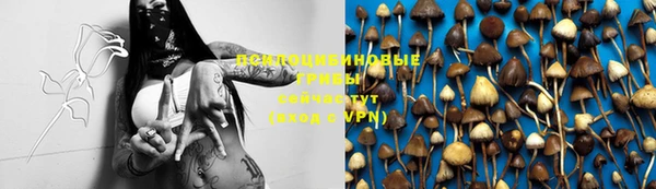 MESCALINE Вязники