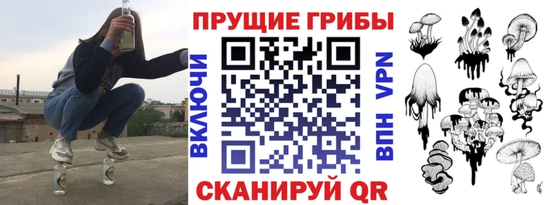 Галлюциногенные грибы Cubensis  Калач 