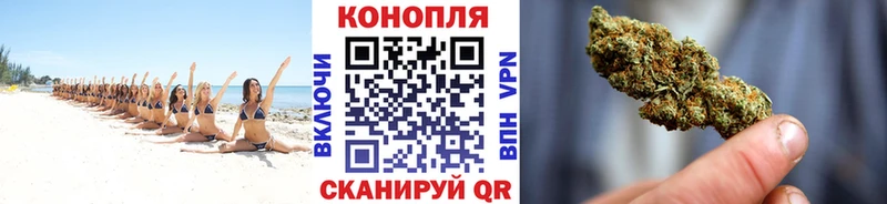 Канабис индика  Калач 